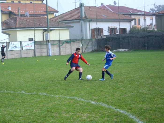 Landonio contrasta