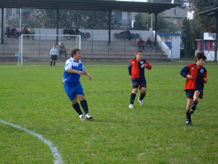 Ripullone in azione